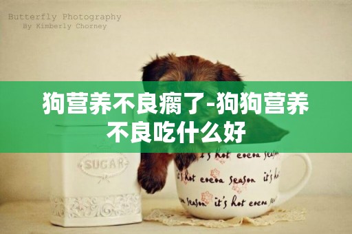 狗營養不良瘸了-狗狗營養不良吃什么好
