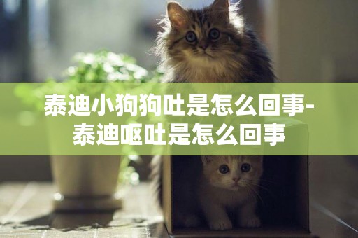 泰迪小狗狗吐是怎么回事-泰迪嘔吐是怎么回事