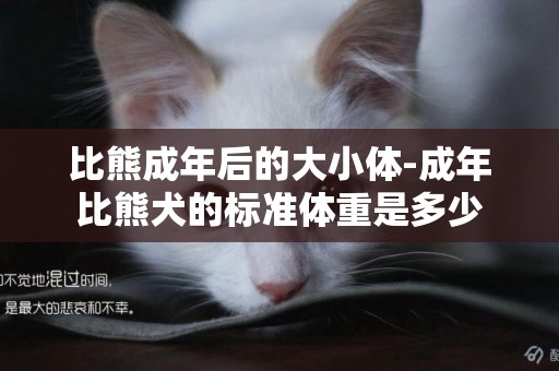 比熊成年后的大小體-成年比熊犬的標準體重是多少