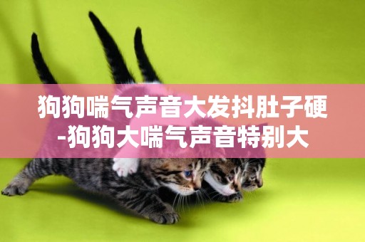 狗狗喘氣聲音大發抖肚子硬-狗狗大喘氣聲音特別大