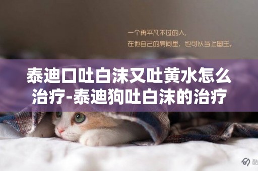 泰迪口吐白沫又吐黃水怎么治療-泰迪狗吐白沫的治療方法簡介