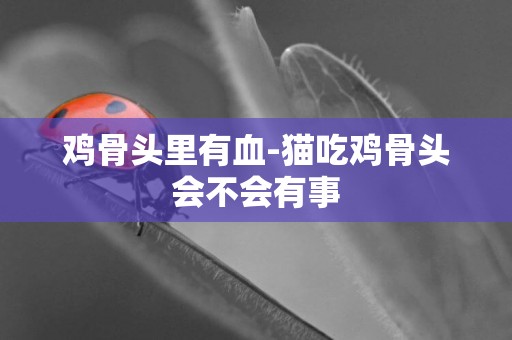 雞骨頭里有血-貓吃雞骨頭會不會有事