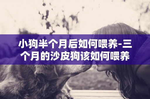 小狗半個月后如何喂養-三個月的沙皮狗該如何喂養