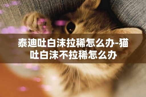 泰迪吐白沫拉稀怎么辦-貓吐白沫不拉稀怎么辦