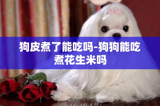 狗皮煮了能吃嗎-狗狗能吃煮花生米嗎