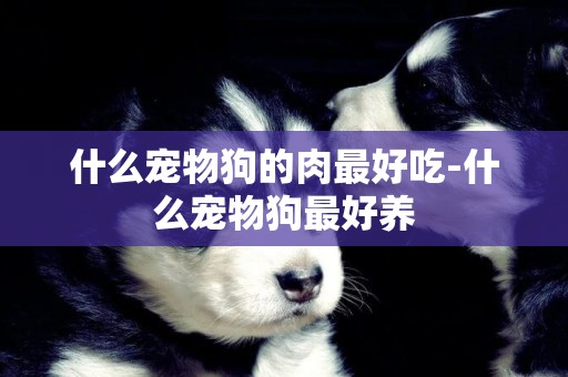 什么寵物狗的肉最好吃-什么寵物狗最好養