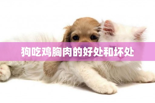 狗吃雞胸肉的好處和壞處