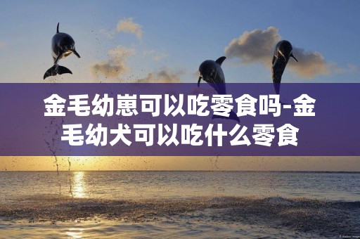 金毛幼崽可以吃零食嗎-金毛幼犬可以吃什么零食