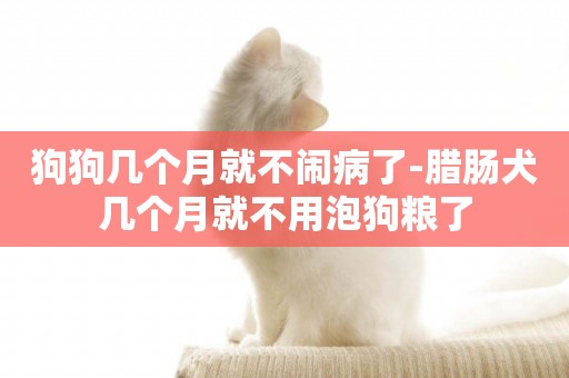 狗狗幾個月就不鬧病了-臘腸犬幾個月就不用泡狗糧了