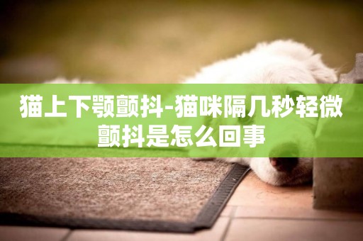 貓上下顎顫抖-貓咪隔幾秒輕微顫抖是怎么回事