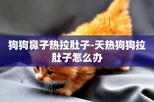 狗狗鼻子熱拉肚子-天熱狗狗拉肚子怎么辦