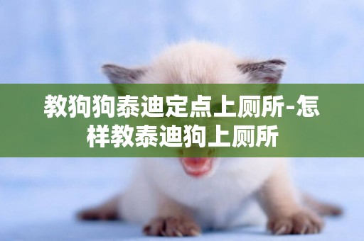 教狗狗泰迪定點上廁所-怎樣教泰迪狗上廁所