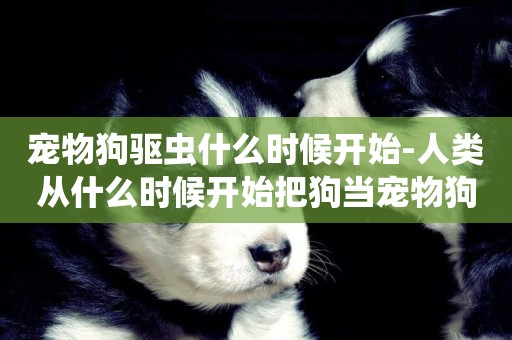 寵物狗驅蟲什么時候開始-人類從什么時候開始把狗當寵物狗