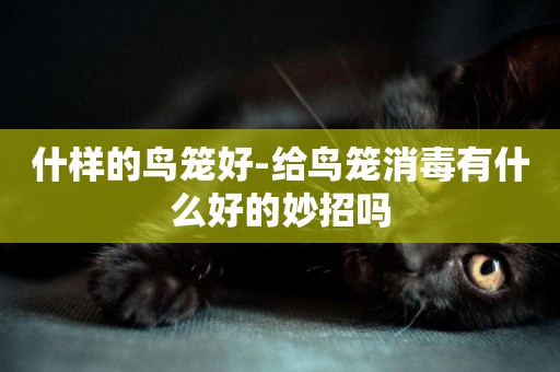 什樣的鳥籠好-給鳥籠消毒有什么好的妙招嗎