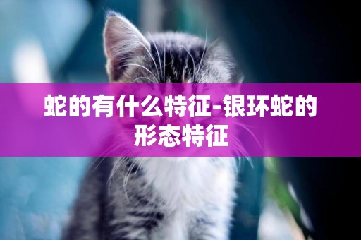 蛇的有什么特征-銀環蛇的形態特征