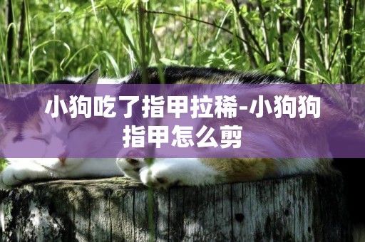 小狗吃了指甲拉稀-小狗狗指甲怎么剪