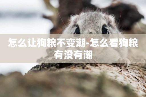 怎么讓狗糧不變潮-怎么看狗糧有沒有潮