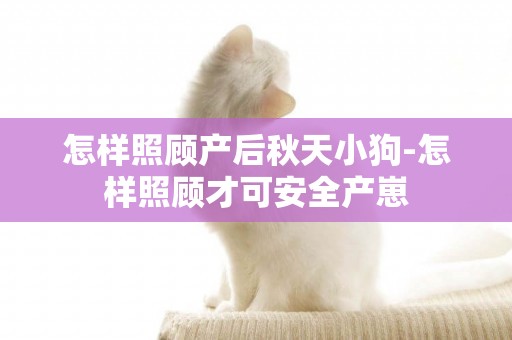 怎樣照顧產后秋天小狗-怎樣照顧才可安全產崽