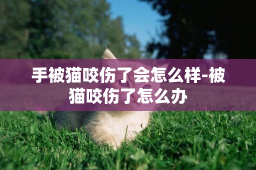 手被貓咬傷了會怎么樣-被貓咬傷了怎么辦