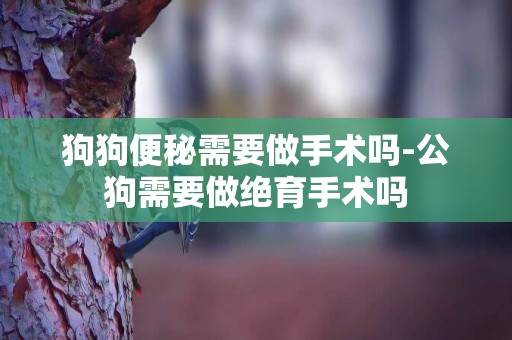 狗狗便秘需要做手術嗎-公狗需要做絕育手術嗎