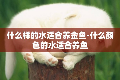 什么樣的水適合養金魚-什么顏色的水適合養魚
