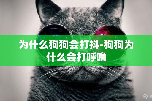 為什么狗狗會打抖-狗狗為什么會打呼嚕
