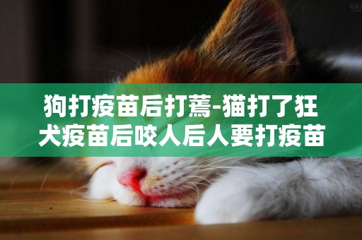 狗打疫苗后打蔫-貓打了狂犬疫苗后咬人后人要打疫苗嗎