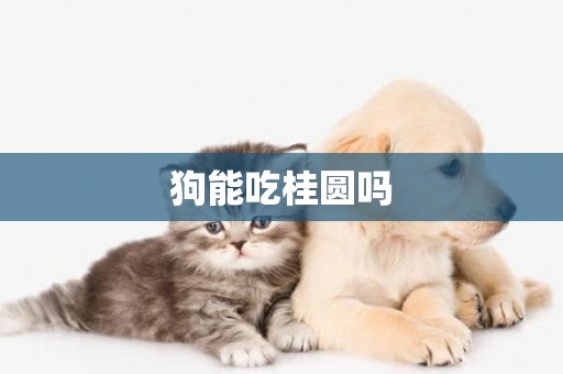 狗能吃桂圓嗎