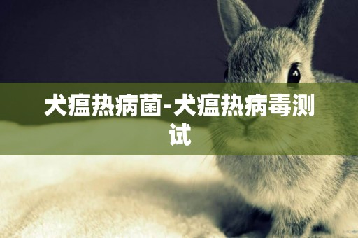 犬瘟熱病菌-犬瘟熱病毒測試