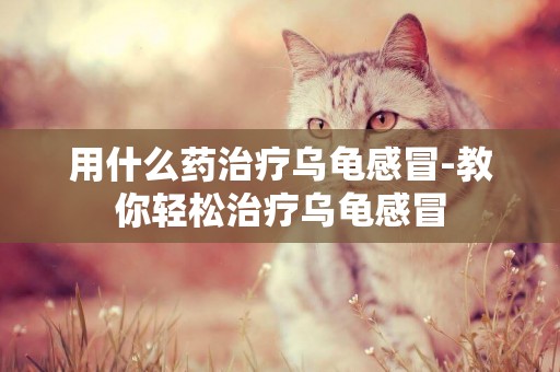 用什么藥治療烏龜感冒-教你輕松治療烏龜感冒