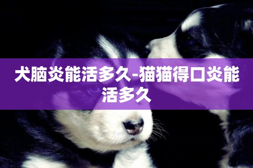 犬腦炎能活多久-貓貓得口炎能活多久