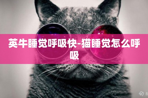 英牛睡覺呼吸快-貓睡覺怎么呼吸