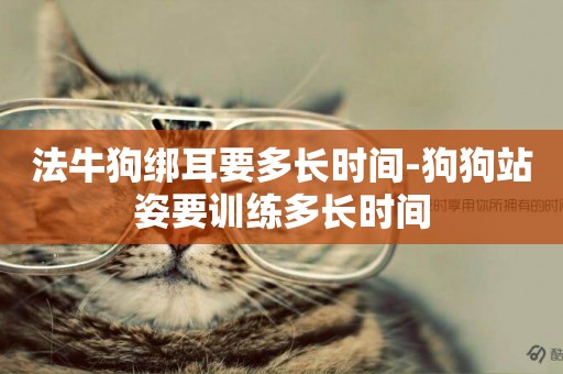 法牛狗綁耳要多長時間-狗狗站姿要訓練多長時間