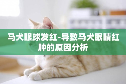 馬犬眼球發紅-導致馬犬眼睛紅腫的原因分析