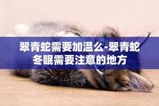 翠青蛇需要加溫么-翠青蛇冬眠需要注意的地方