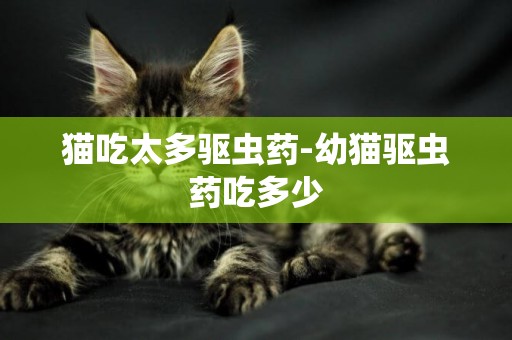貓吃太多驅蟲藥-幼貓驅蟲藥吃多少