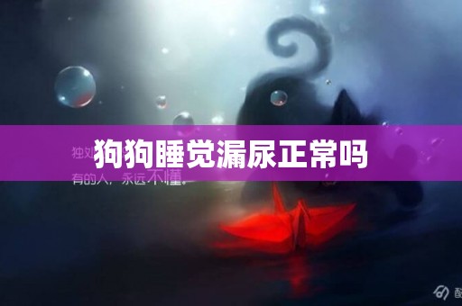 狗狗睡覺漏尿正常嗎