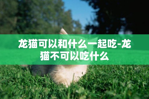 龍貓可以和什么一起吃-龍貓不可以吃什么