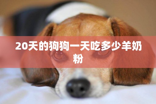 20天的狗狗一天吃多少羊奶粉