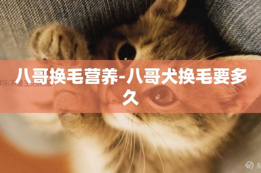 八哥換毛營養-八哥犬換毛要多久