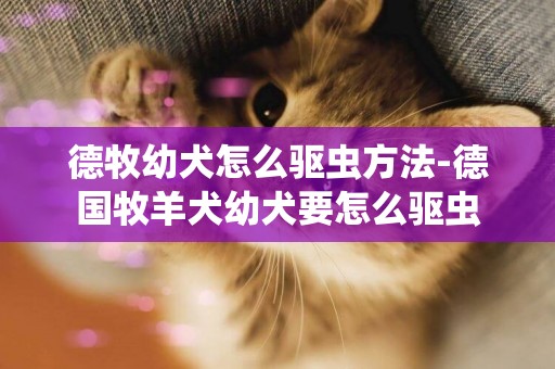 德牧幼犬怎么驅蟲方法-德國牧羊犬幼犬要怎么驅蟲
