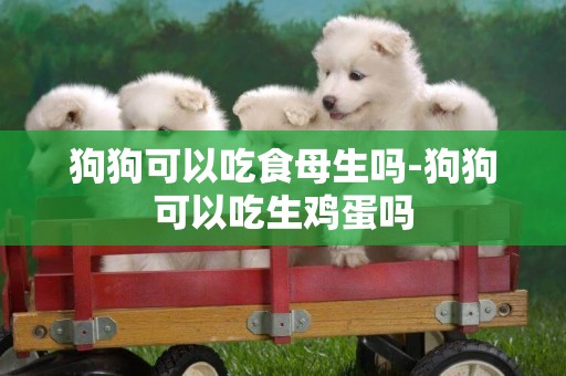 狗狗可以吃食母生嗎-狗狗可以吃生雞蛋嗎