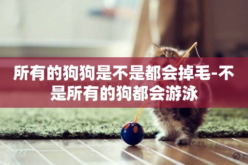 所有的狗狗是不是都會掉毛-不是所有的狗都會游泳