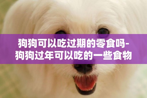 狗狗可以吃過期的零食嗎-狗狗過年可以吃的一些食物