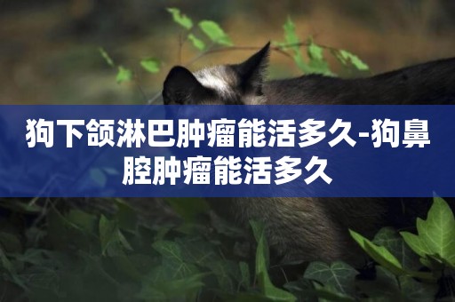 狗下頜淋巴腫瘤能活多久-狗鼻腔腫瘤能活多久