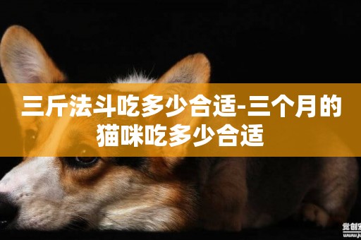 三斤法斗吃多少合適-三個月的貓咪吃多少合適