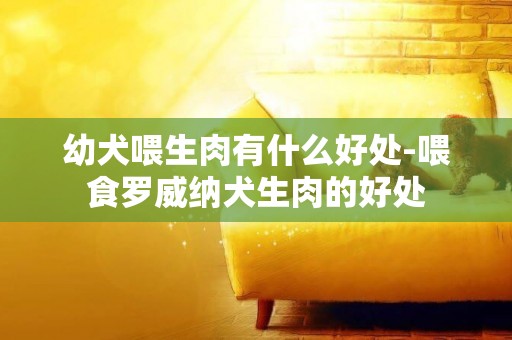 幼犬喂生肉有什么好處-喂食羅威納犬生肉的好處