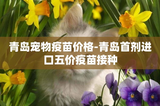青島寵物疫苗價格-青島首劑進口五價疫苗接種