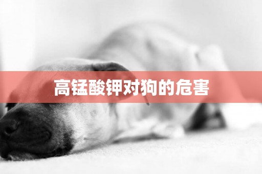 高錳酸鉀對狗的危害