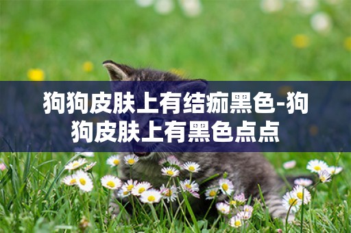 狗狗皮膚上有結痂黑色-狗狗皮膚上有黑色點點